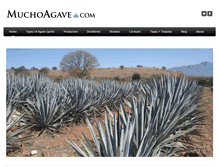 Tablet Screenshot of muchoagave.com